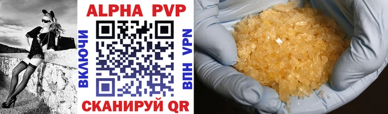 A PVP СК КРИС Западная Двина