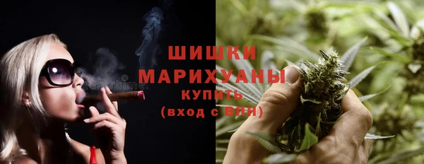 Альфа ПВП Гусев