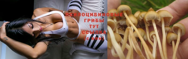 Альфа ПВП Гусев