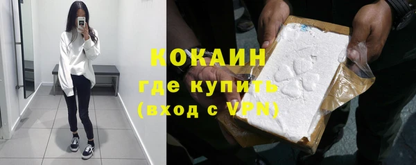 Альфа ПВП Гусев