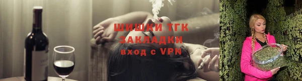 Альфа ПВП Гусев