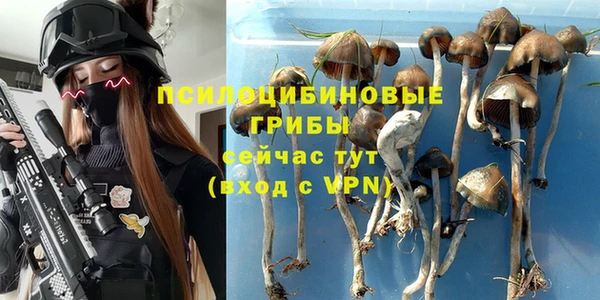 меф Гусь-Хрустальный