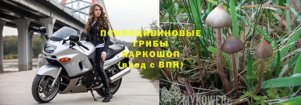 винт Гусиноозёрск