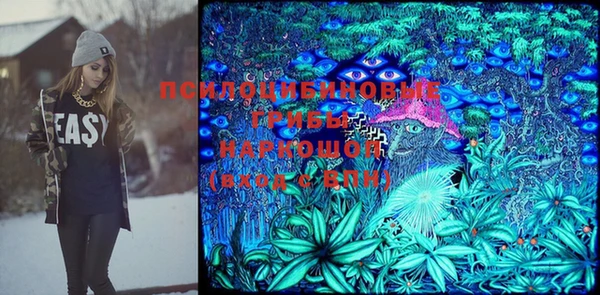 Альфа ПВП Гусев