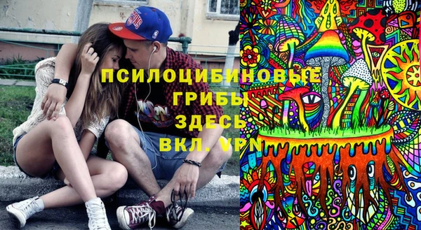 Альфа ПВП Гусев