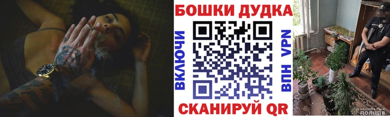Бошки марихуана марихуана  продажа наркотиков  Западная Двина 